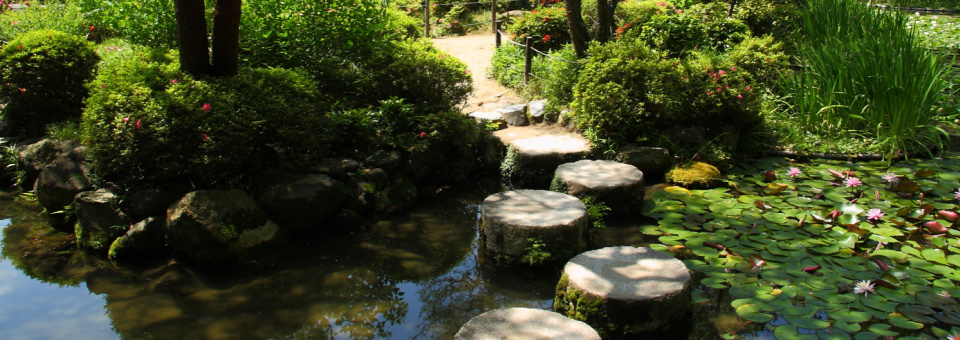 Budget Ekspeditionen1 - Kend Dine Penge